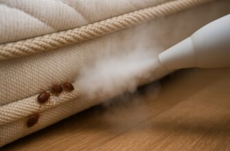 Парогенератор от клопов